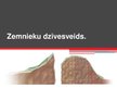 Prezentācija 'Zemnieki', 6.