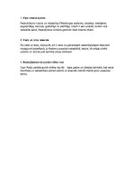 Konspekts 'Fjodora Dostojevska romāna "Noziegums un sods" analīze', 2.