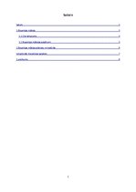 Referāts 'Miniatūru mākslas nozīme Bizantijas kultūrā', 2.