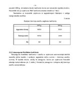 Referāts 'SIA "Būvnieks 07" finanšu analīze', 10.