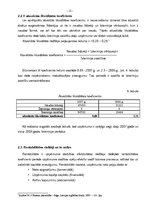 Referāts 'SIA "Būvnieks 07" finanšu analīze', 12.