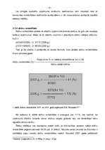 Referāts 'SIA "Būvnieks 07" finanšu analīze', 14.