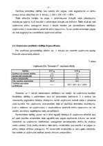 Referāts 'SIA "Būvnieks 07" finanšu analīze', 17.