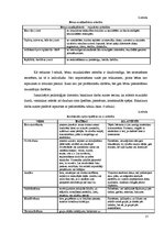 Diplomdarbs 'Bērna muzikālās un intelektuālās attīstības veicināšanas iespējas pirmsskolas pe', 19.