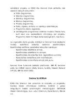 Referāts 'CASE rīki', 18.