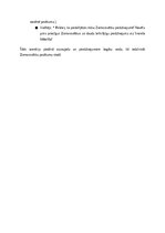 Konspekts 'Ziemassvētku Burvība: Piedzīvojums aiz Sneieša Mētelīša', 2.