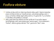 Prezentācija 'Fosfors', 5.