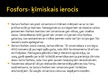 Prezentācija 'Fosfors', 17.