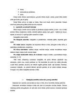 Referāts 'Rotaļspēle saskarsmes prasmju attīstībai pirmsskolas vecuma grupā', 19.