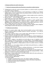 Konspekts 'Saistību tiesības', 13.