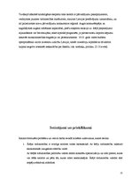 Referāts 'Ārējās tirdzniecības ekonomiskais pamats', 21.