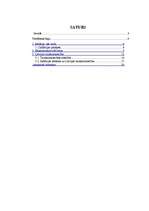 Referāts 'Inflācijas cēloņi un sekas Latvijas tautsaimniecībā', 2.