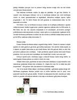 Referāts 'Ekotūrisms un tā perspektīvas', 8.