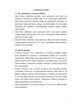 Biznesa plāns 'SIA "SpodrībaLv" - telpu uzkopšanas darbi', 6.