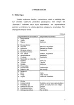 Biznesa plāns 'SIA "SpodrībaLv" - telpu uzkopšanas darbi', 8.