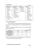 Biznesa plāns 'SIA "SpodrībaLv" - telpu uzkopšanas darbi', 10.