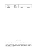 Biznesa plāns 'SIA "SpodrībaLv" - telpu uzkopšanas darbi', 19.