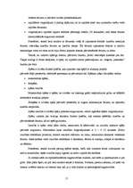 Referāts 'Sporta psiholoģija un tās nostāja bērnu sportā', 17.