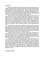 Konspekts 'Aleksandra Grīna darba "Dvēseļu putenis" analīze', 3.