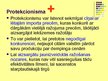 Prezentācija 'Protekcionisms', 19.