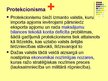 Prezentācija 'Protekcionisms', 21.