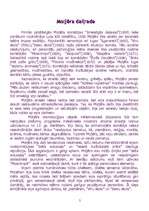 Referāts 'Moljērs', 5.