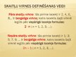 Prezentācija 'Skaitļu virknes', 5.
