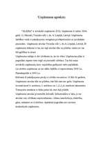 Biznesa plāns 'Datorprogrammu apmācība', 3.