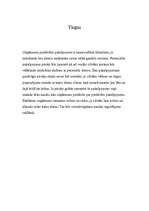 Biznesa plāns 'Datorprogrammu apmācība', 6.