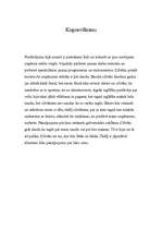 Biznesa plāns 'Datorprogrammu apmācība', 12.