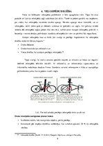 Eseja 'Draudzīgs velosipēdam', 8.