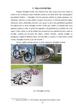 Eseja 'Draudzīgs velosipēdam', 10.