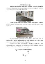 Eseja 'Draudzīgs velosipēdam', 11.