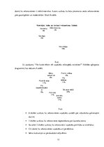 Eseja 'Draudzīgs velosipēdam', 13.