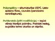 Prezentācija 'Polimērmateriāli un izstrādājumi', 17.