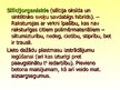 Prezentācija 'Polimērmateriāli un izstrādājumi', 23.