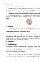 Konspekts 'Mikrobioloģija', 12.