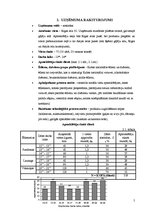 Biznesa plāns 'Restorāna "Cuba" tehnoloģiskais projekts', 5.