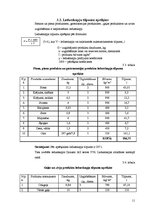 Biznesa plāns 'Restorāna "Cuba" tehnoloģiskais projekts', 11.