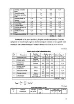 Biznesa plāns 'Restorāna "Cuba" tehnoloģiskais projekts', 21.