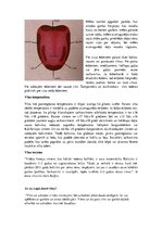 Konspekts 'Galda etiķete par vīnu', 7.