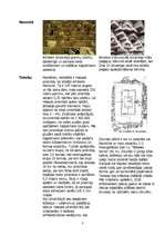 Konspekts 'Piramīdu un zikurātu salīdzinājums', 3.