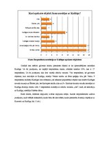 Referāts 'Kuldīgas un Kurzemes atpazīstamība ārvalstu tūristu vidū', 34.