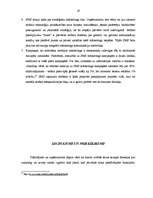 Referāts 'Mobilais mārketings', 19.