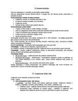 Konspekts 'Vadības zinību pamati', 13.
