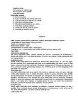 Konspekts 'Vadības zinību pamati', 17.