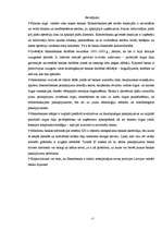 Referāts 'A/s “Hansabanka” komerciālais raksturojums', 17.