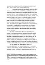 Eseja 'Vai ir iespējama viennozīmīga demokrātijas definīcija?', 3.