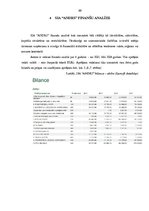 Diplomdarbs 'SIA "Andrs" darbības analīze un attīstības iespējas sporta un tūrisma preču tird', 39.