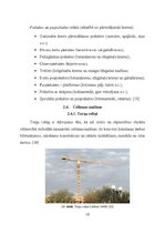 Referāts 'Būvmašīnu izvēles pamatkritēriji', 18.